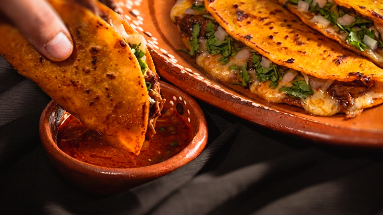 Welcome to the World of Birria